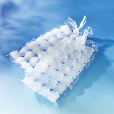 Sachet pour 24 glaçons (/10)
